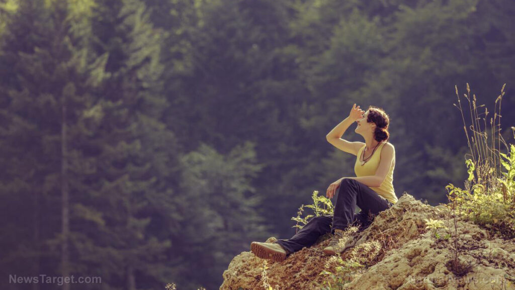 How a deep breath resets your lungs – NaturalNews.com