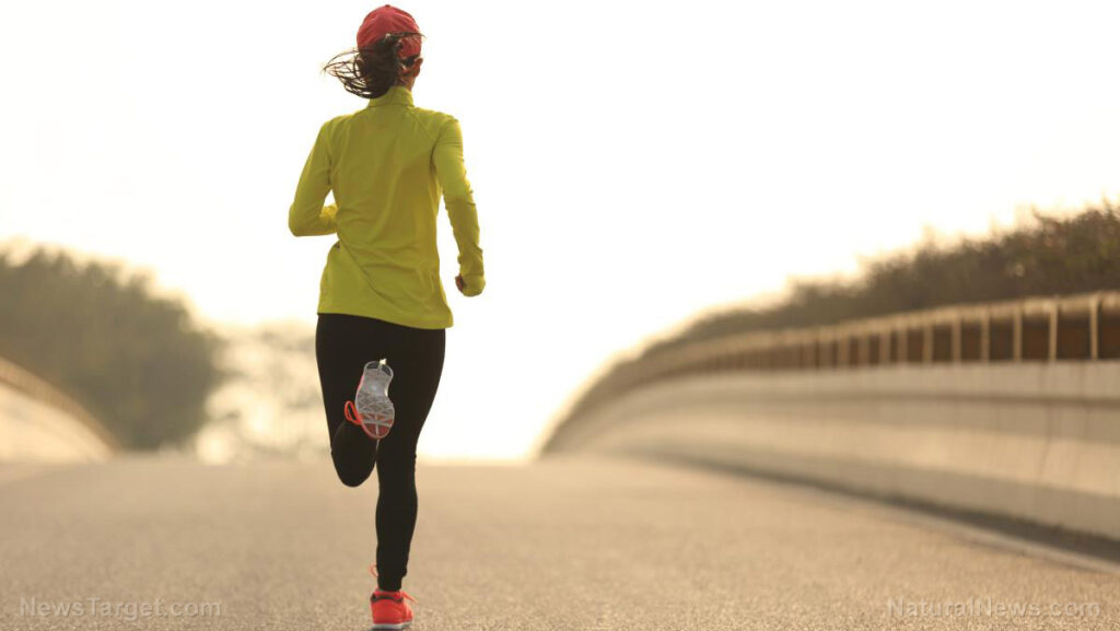 How running repairs the brain damaged by junk food – NaturalNews.com How running repairs the brain damaged by junk food – NaturalNews.com