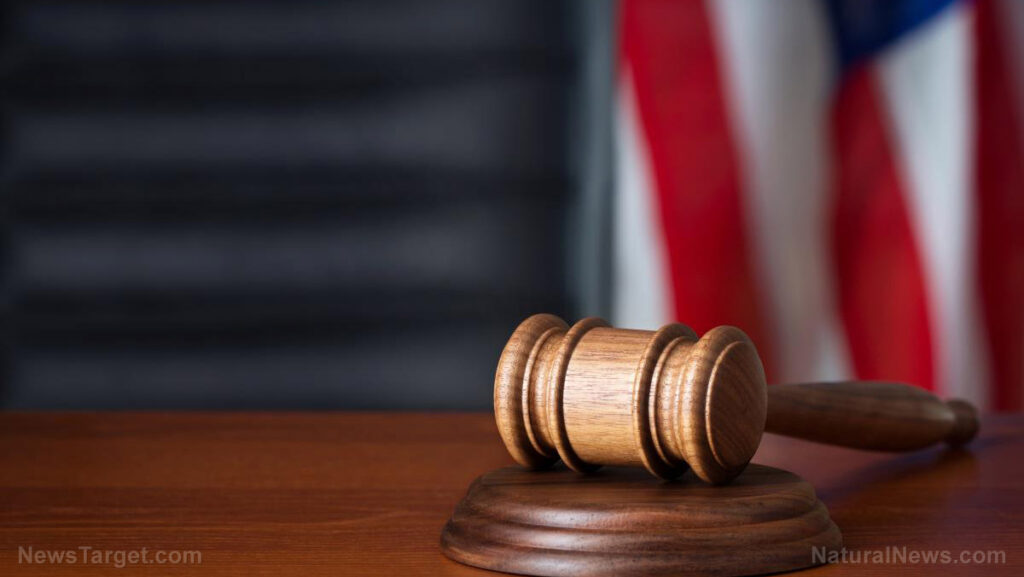 Illinois congressional candidate INDICTED over her role in anti-ICE protests – NaturalNews.com Illinois congressional candidate INDICTED over her role in anti-ICE protests – NaturalNews.com