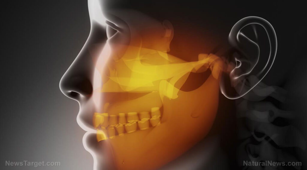 Rapid Tooth Loss Predicts a 33% Higher Risk of Death — It’s Not Just About Brushing – NaturalNews.com