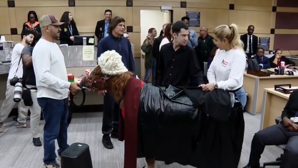 Therapy horse provides stress relief to defendants in Fort Lauderdale courtroom – WSVN 7News | Miami News, Weather, Sports Therapy horse provides stress relief to defendants in Fort Lauderdale courtroom – WSVN 7News | Miami News, Weather, Sports