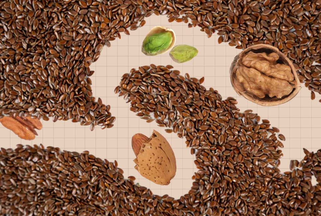 Top 10 High-Fiber Nuts & Seeds, Ranked